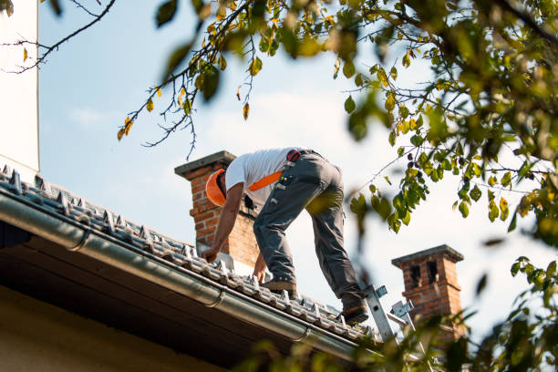 Best Rubber Roofing (EPDM, TPO)  in Clintwood, VA