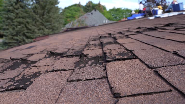Best Solar Panel Roofing Installation  in Clintwood, VA