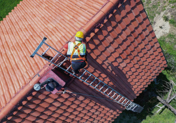 Best Sheet Metal Roofing  in Clintwood, VA
