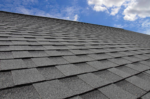 Best Roof Moss and Algae Removal  in Clintwood, VA