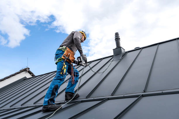 Best Asphalt Shingle Roofing  in Clintwood, VA